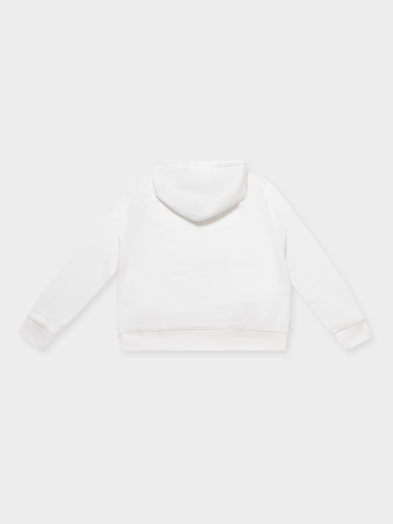 Active Bear Popover Hoodie