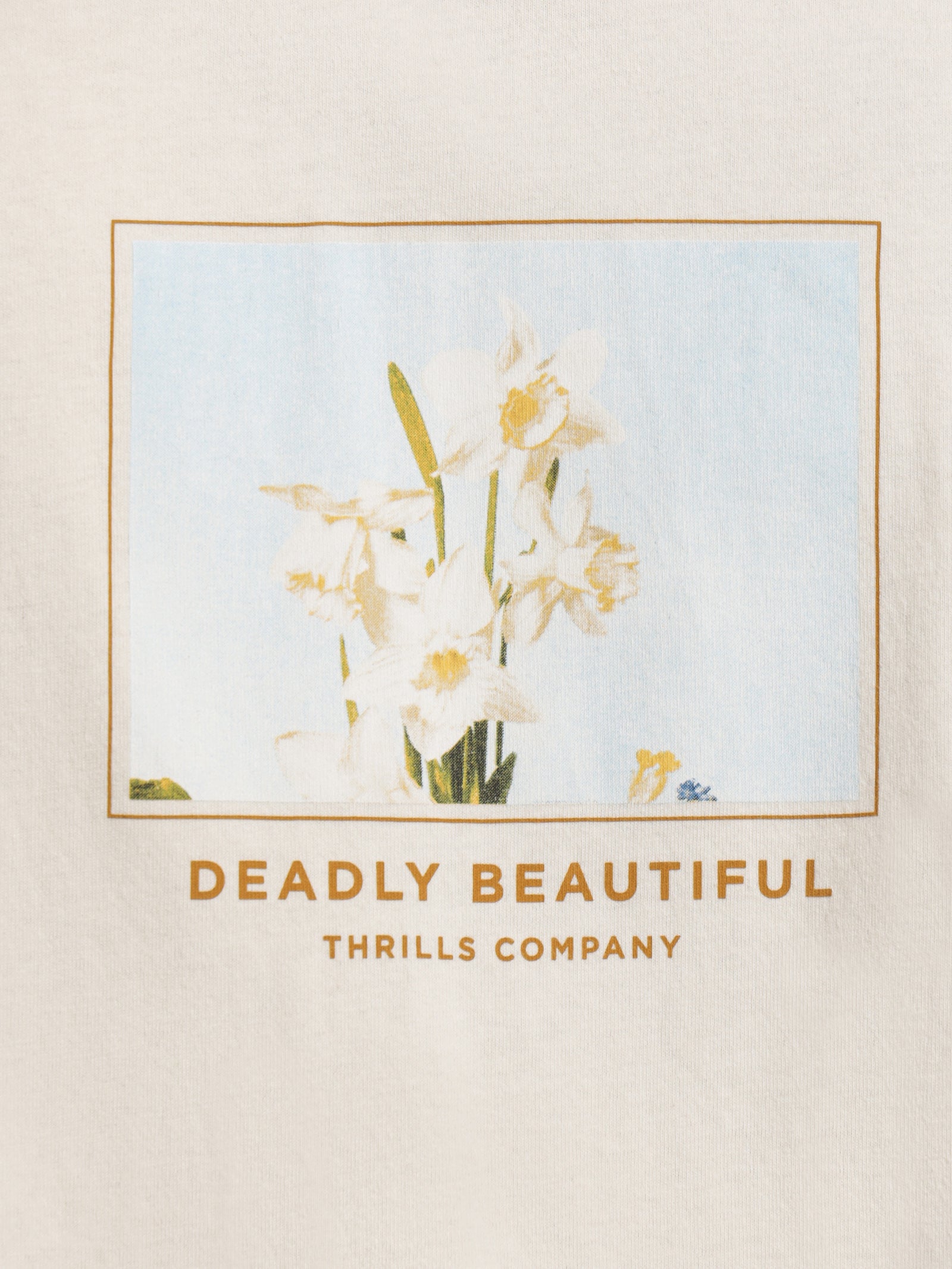 Thrills Deadly Beautiful Merch Fit T-Shirt Vintage Wh