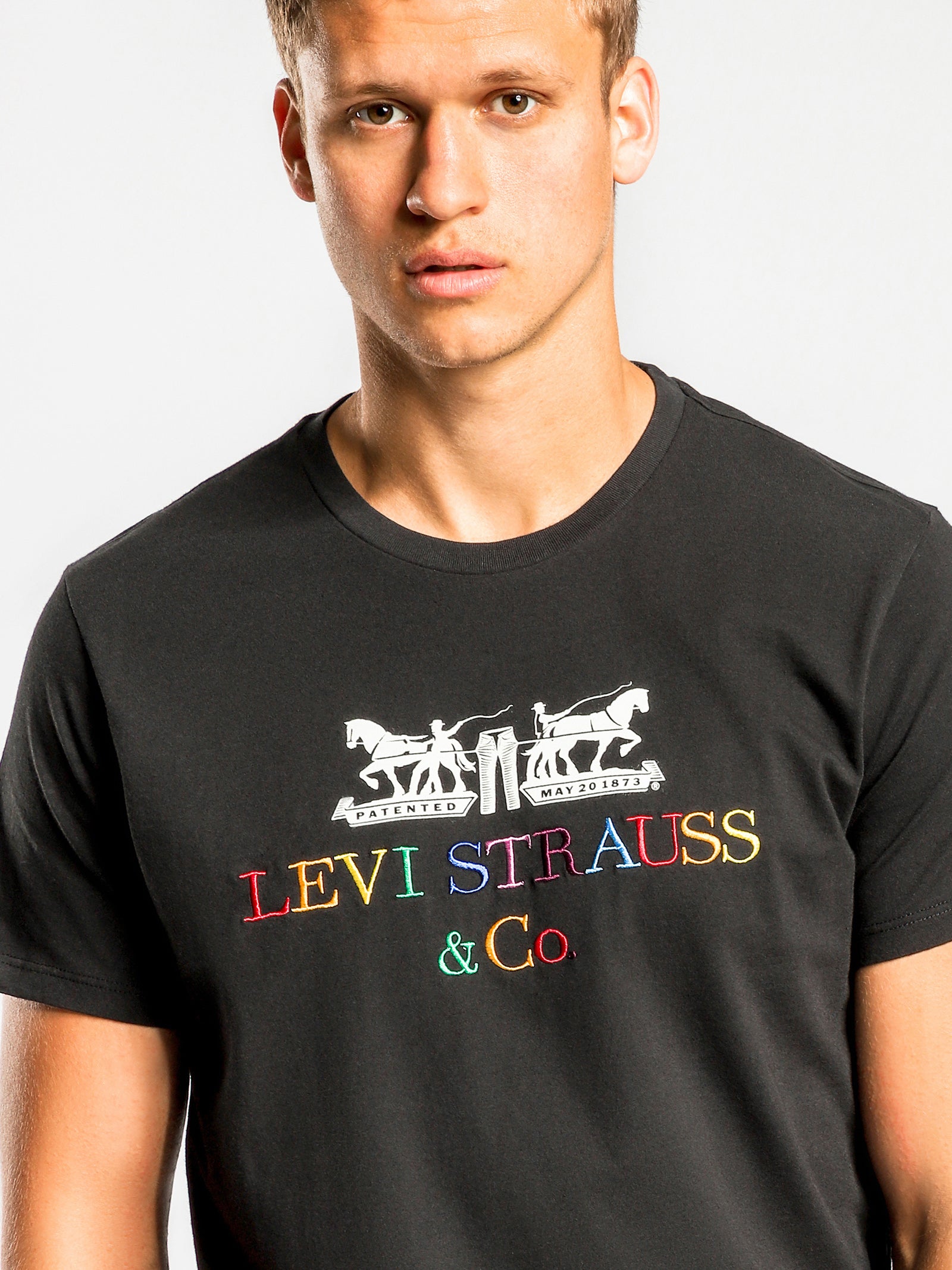 2 Horse Graphic T-Shirt