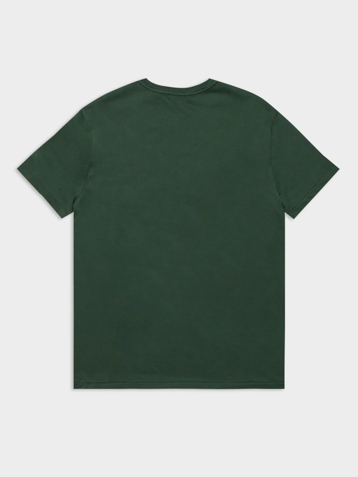 Polo Bear T-Shirt in Washed Forest