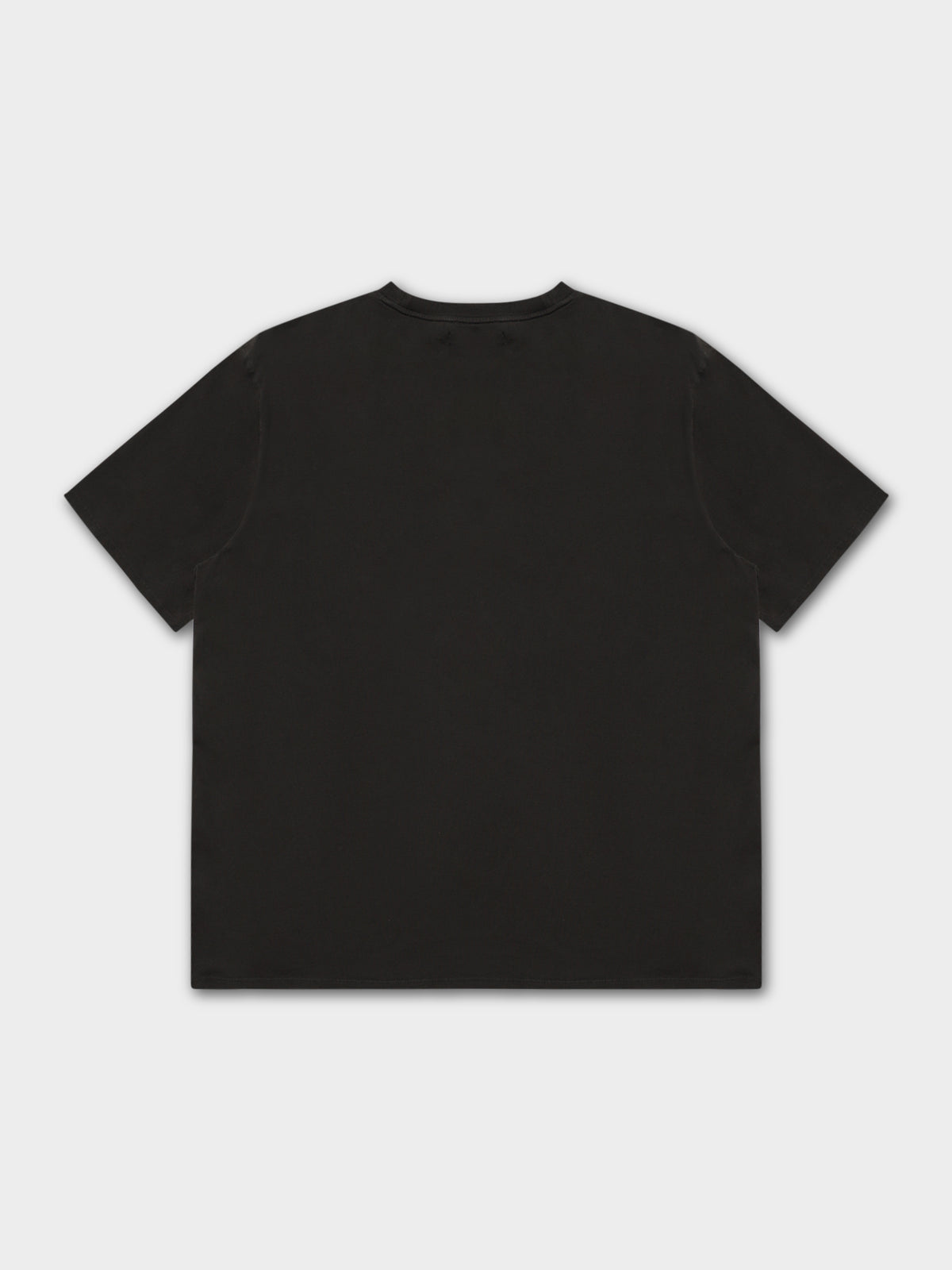 Rose T-Shirt in Washed Black