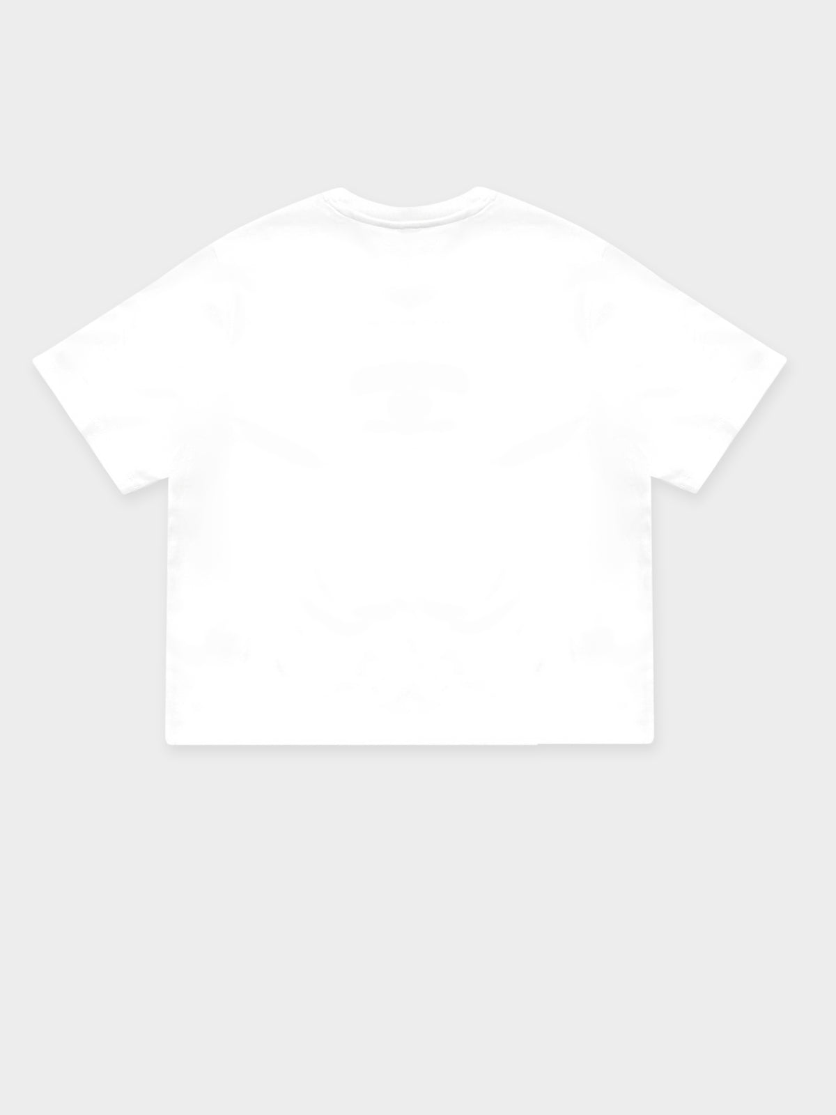 Tommy Hilfiger Timeless Cropped Fit Logo T-Shirt | White