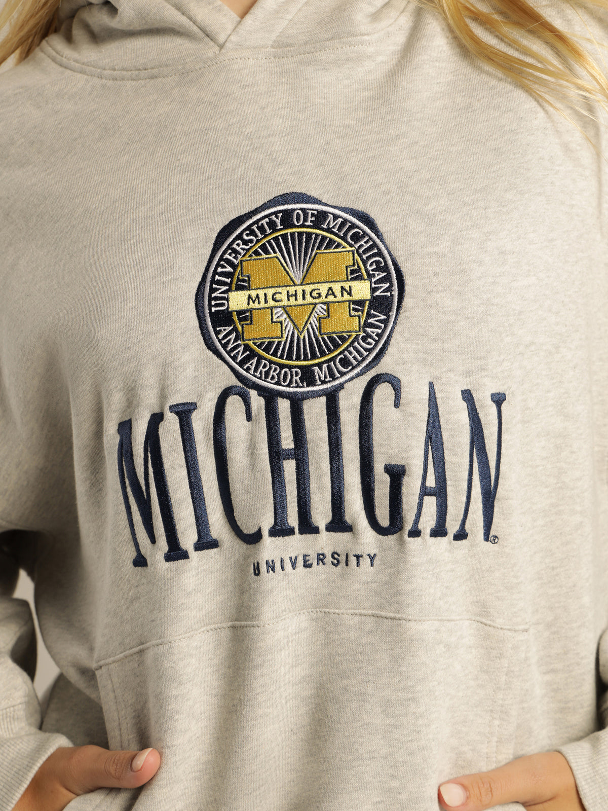 Michigan University Stack Logo Hoodie in Vintage Marle