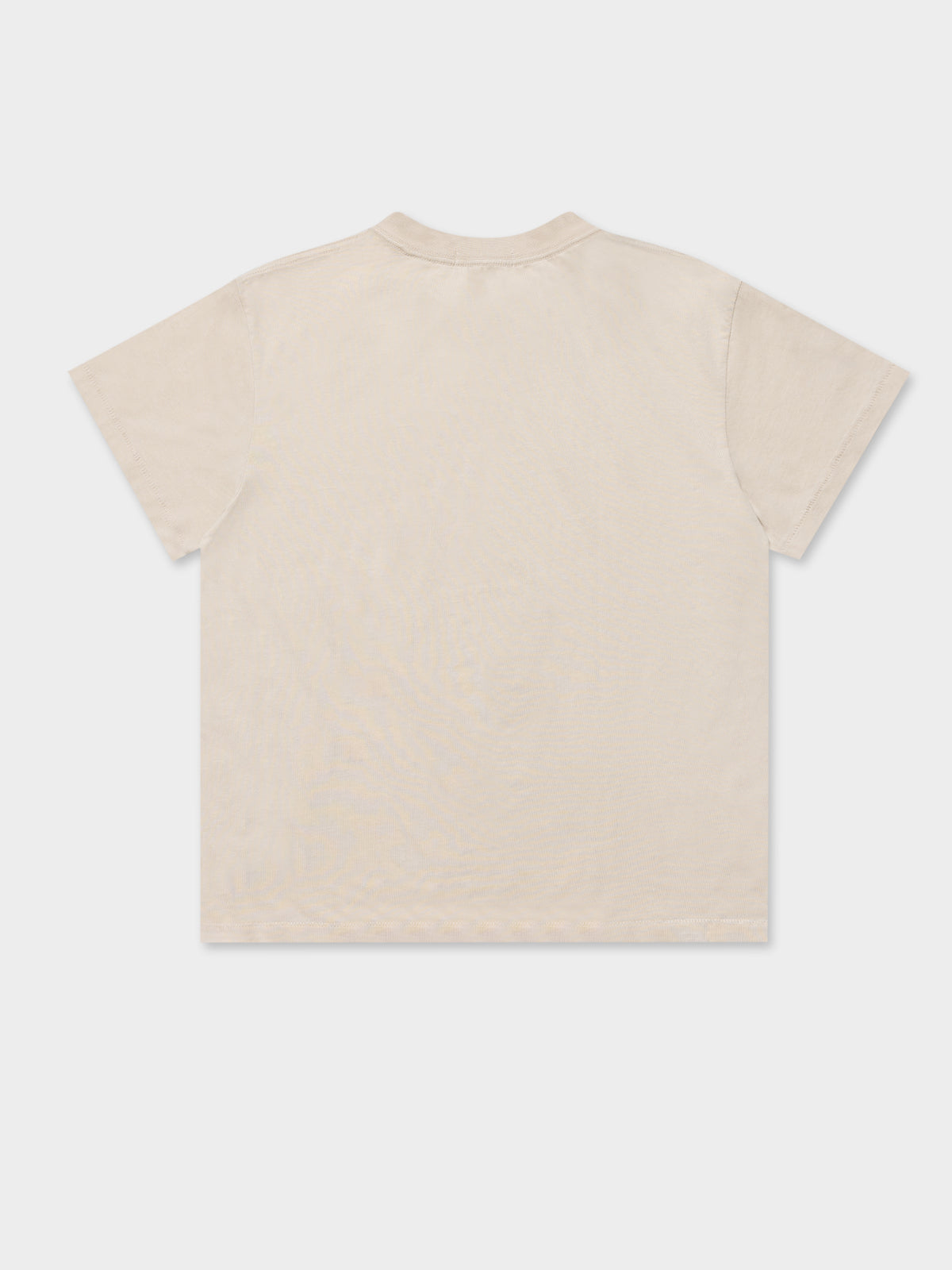 Wings T-Shirt in Alabaster