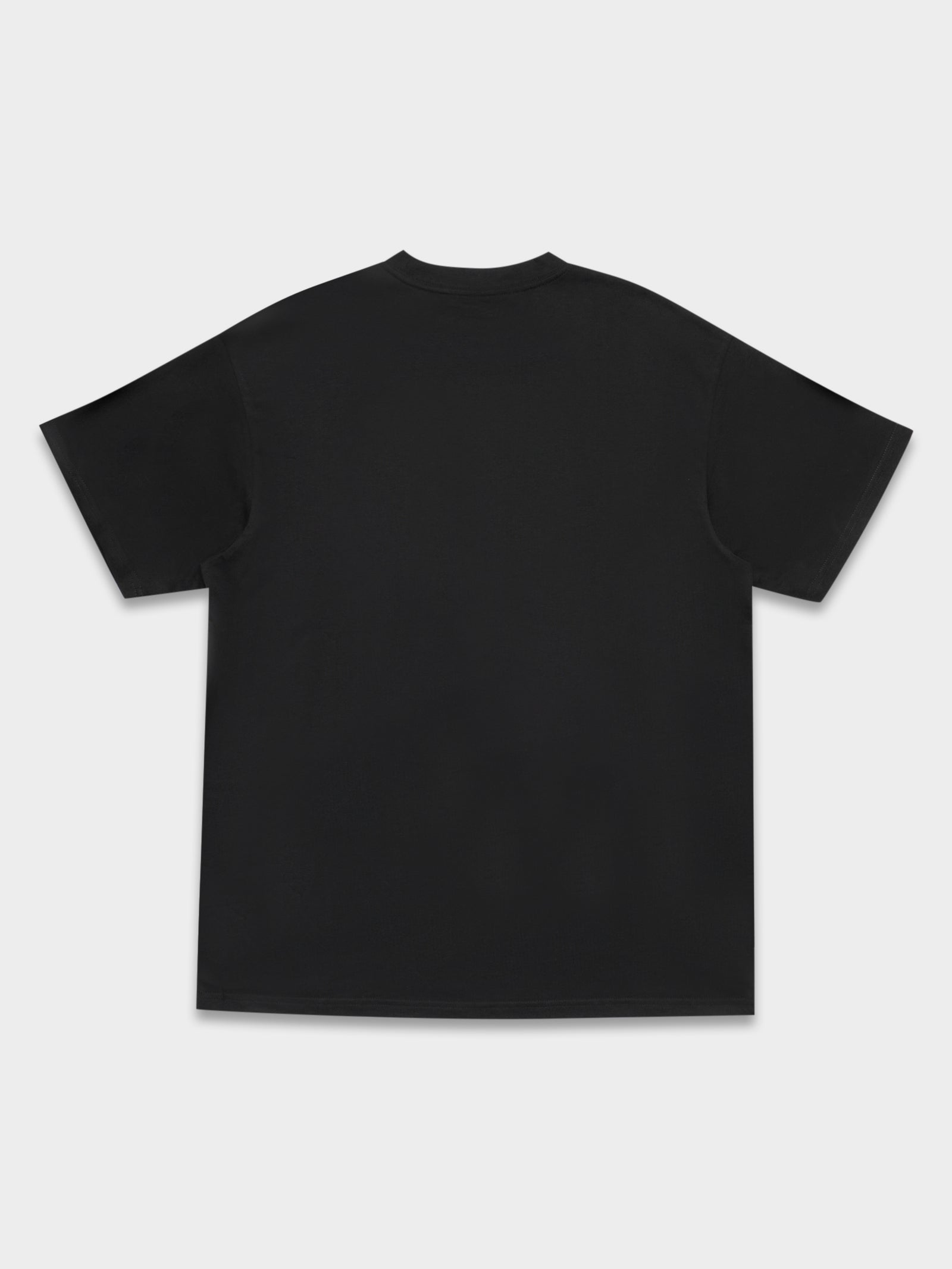 Short Sleeve Embroidered Script T-Shirt