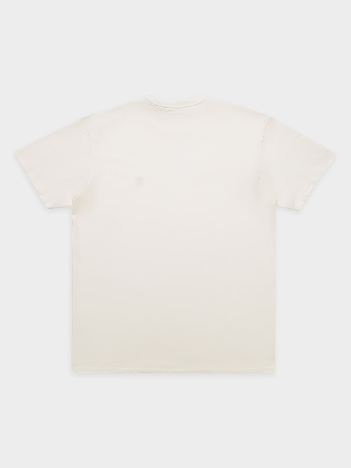 Chase T-Shirt in Beige