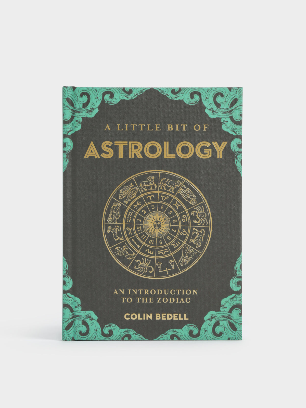 A Little Bit of Astrology Book