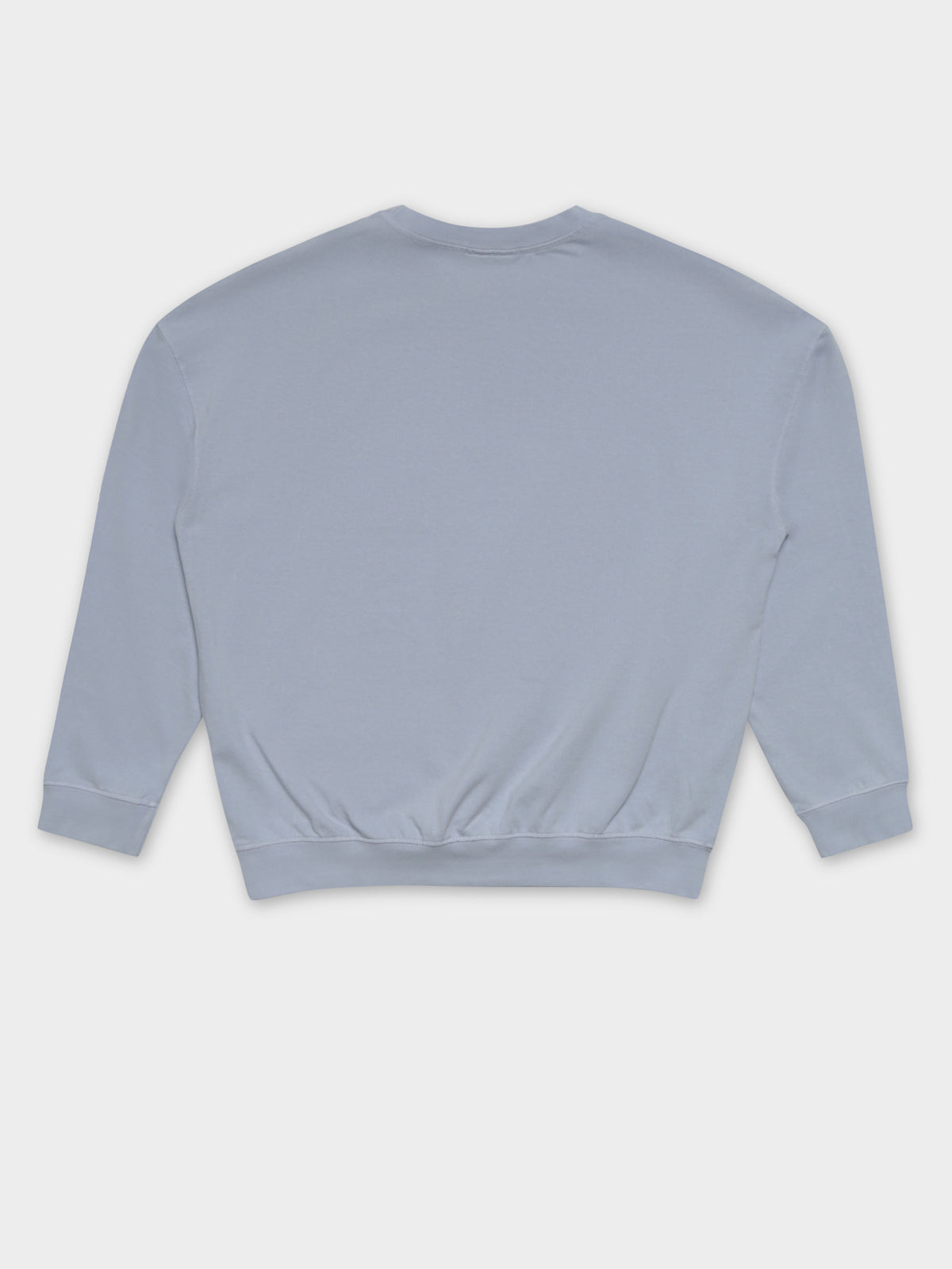 Trail Embroidered Rugby Sweater in Pale Blue