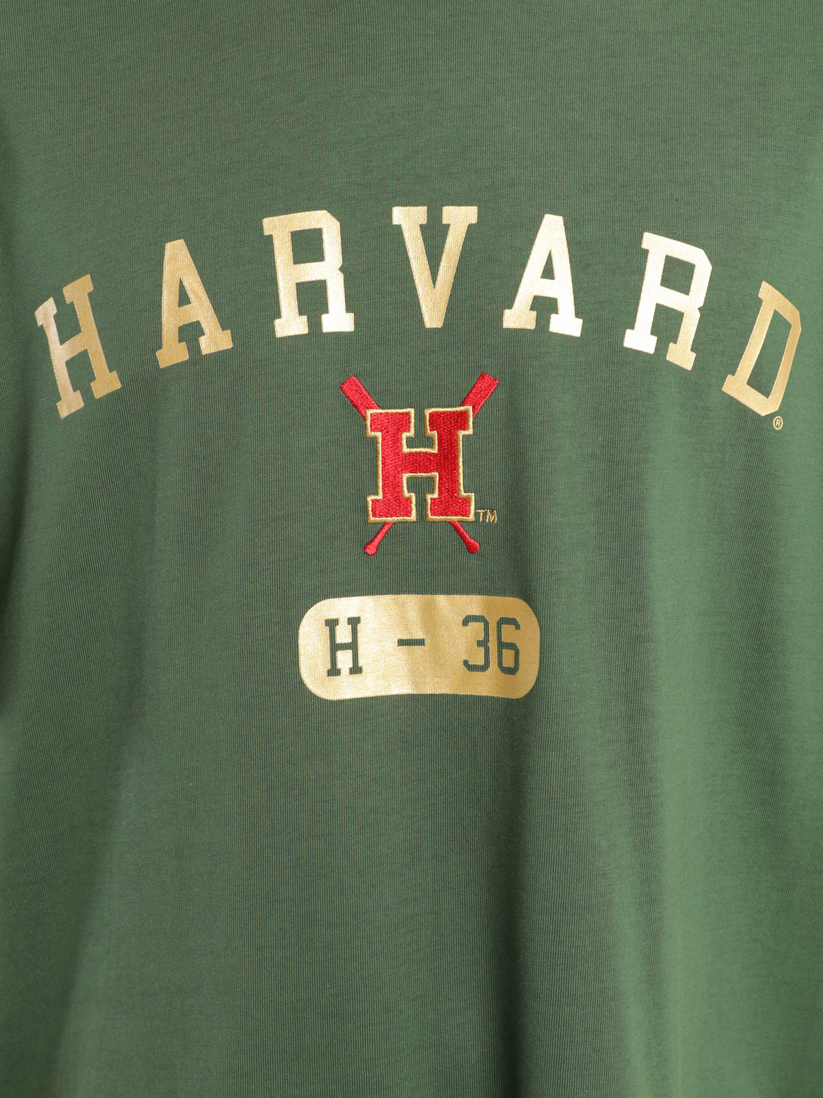Royal 36 Harvard Logo T-Shirt in Green