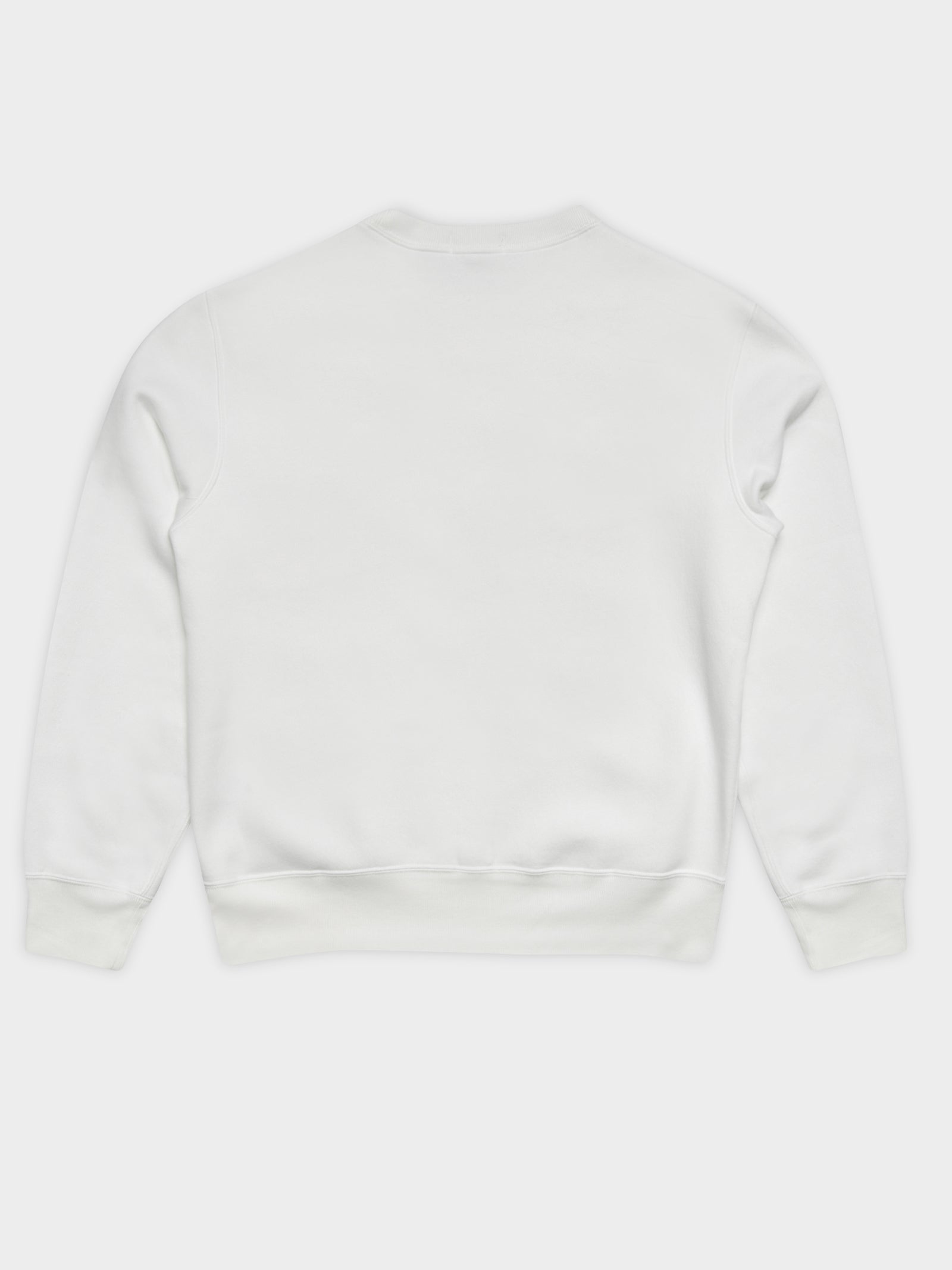 Polo Sport Bear Crew Sweater