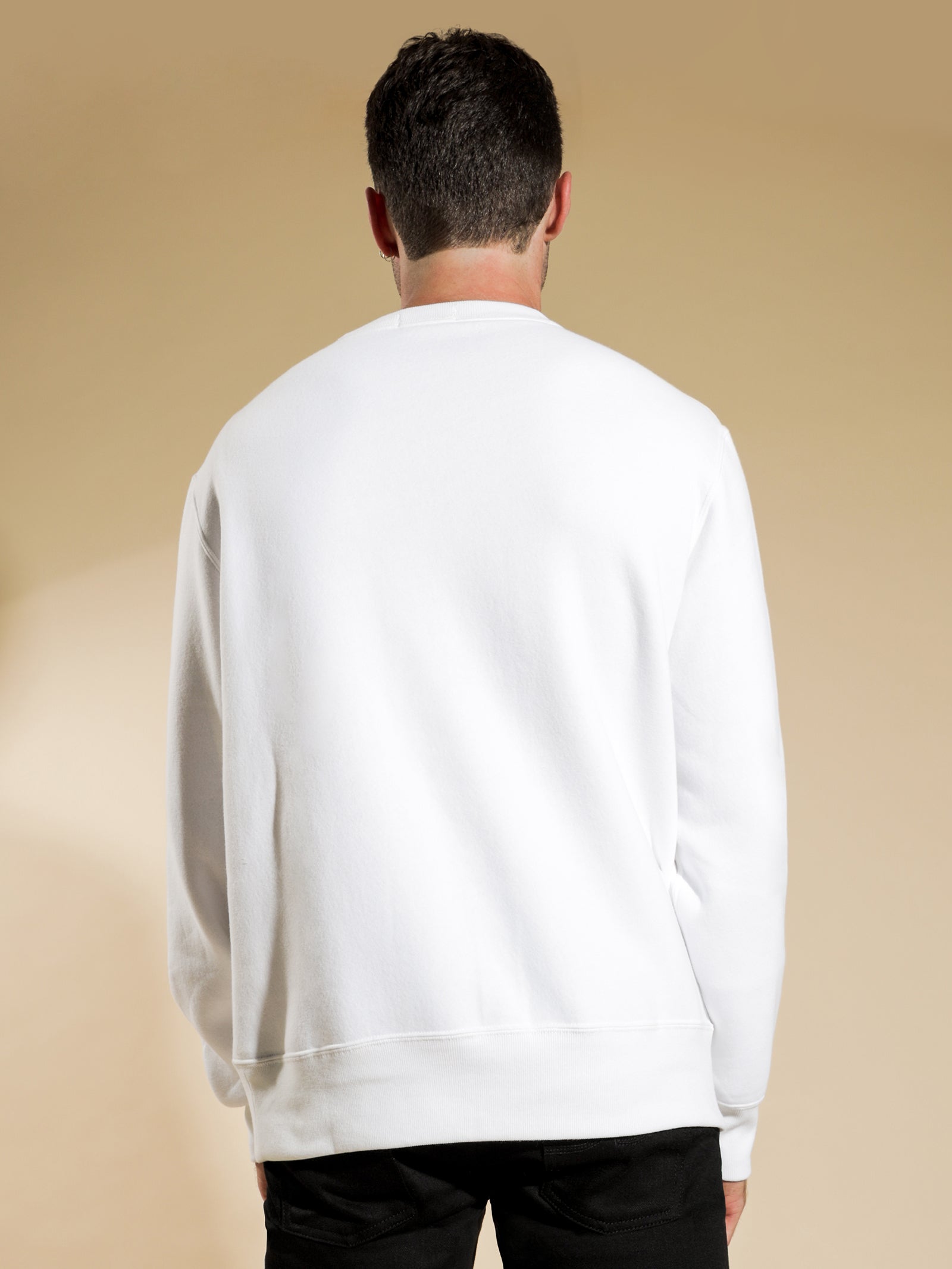 Polo Sport Bear Crew Sweater