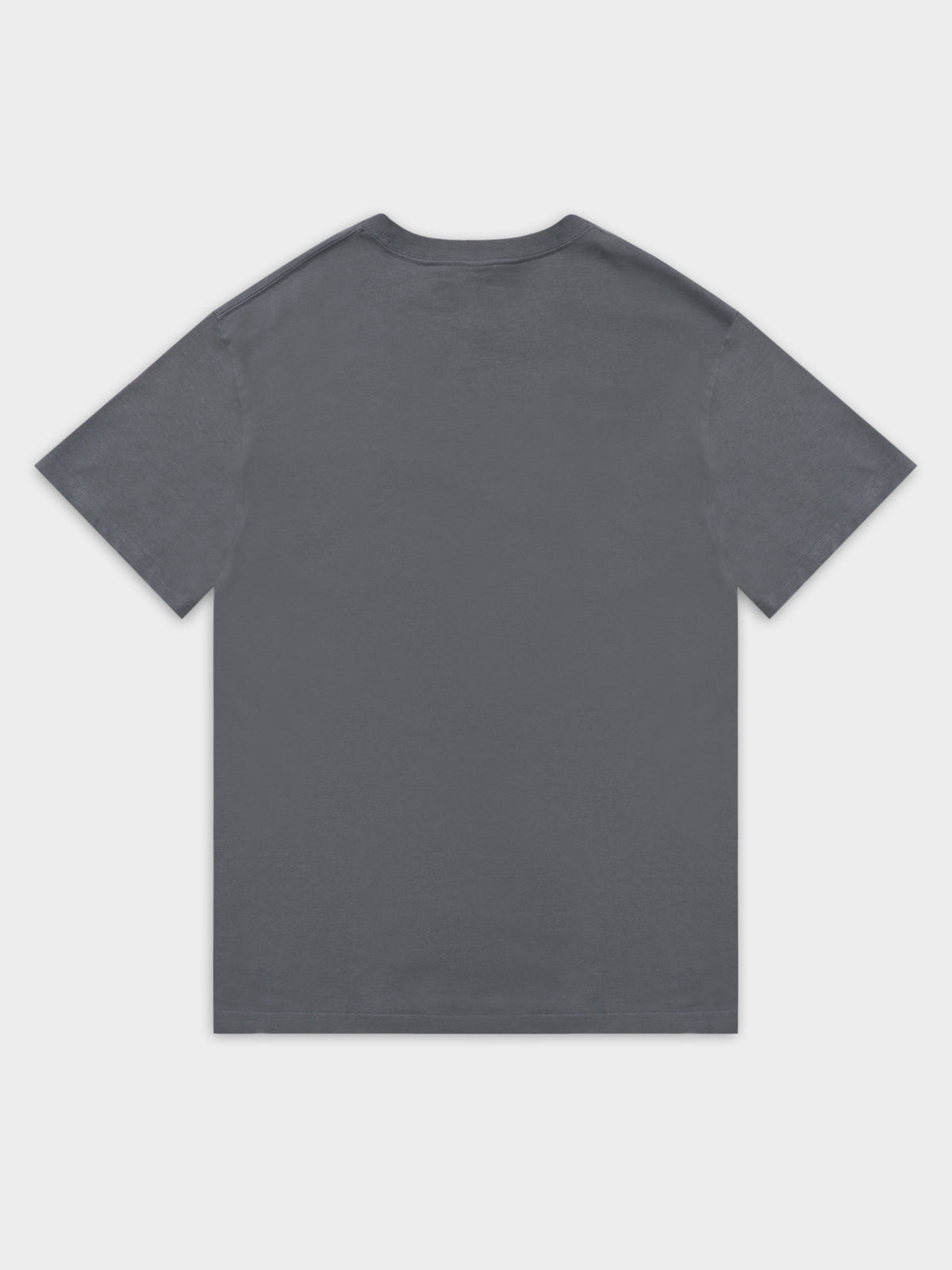 Ws450 Heavyweight T-Shirt in Charcoal