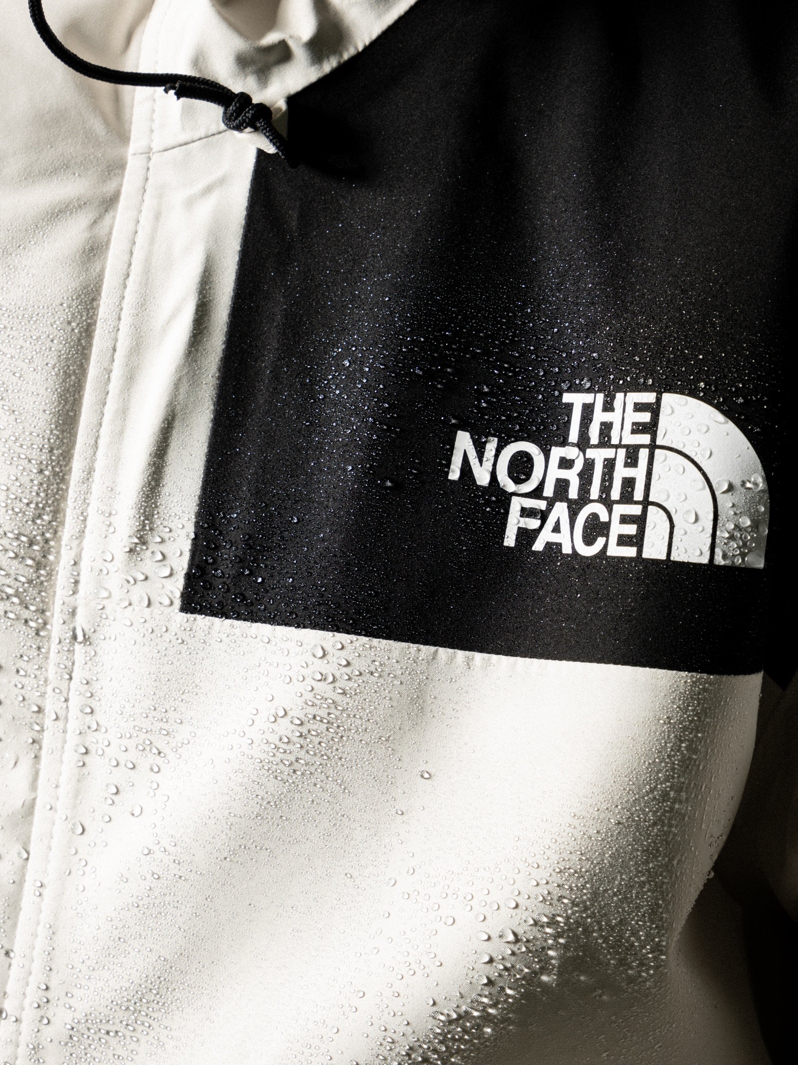 The North Face 1986 Future Light Mountain Jacket White