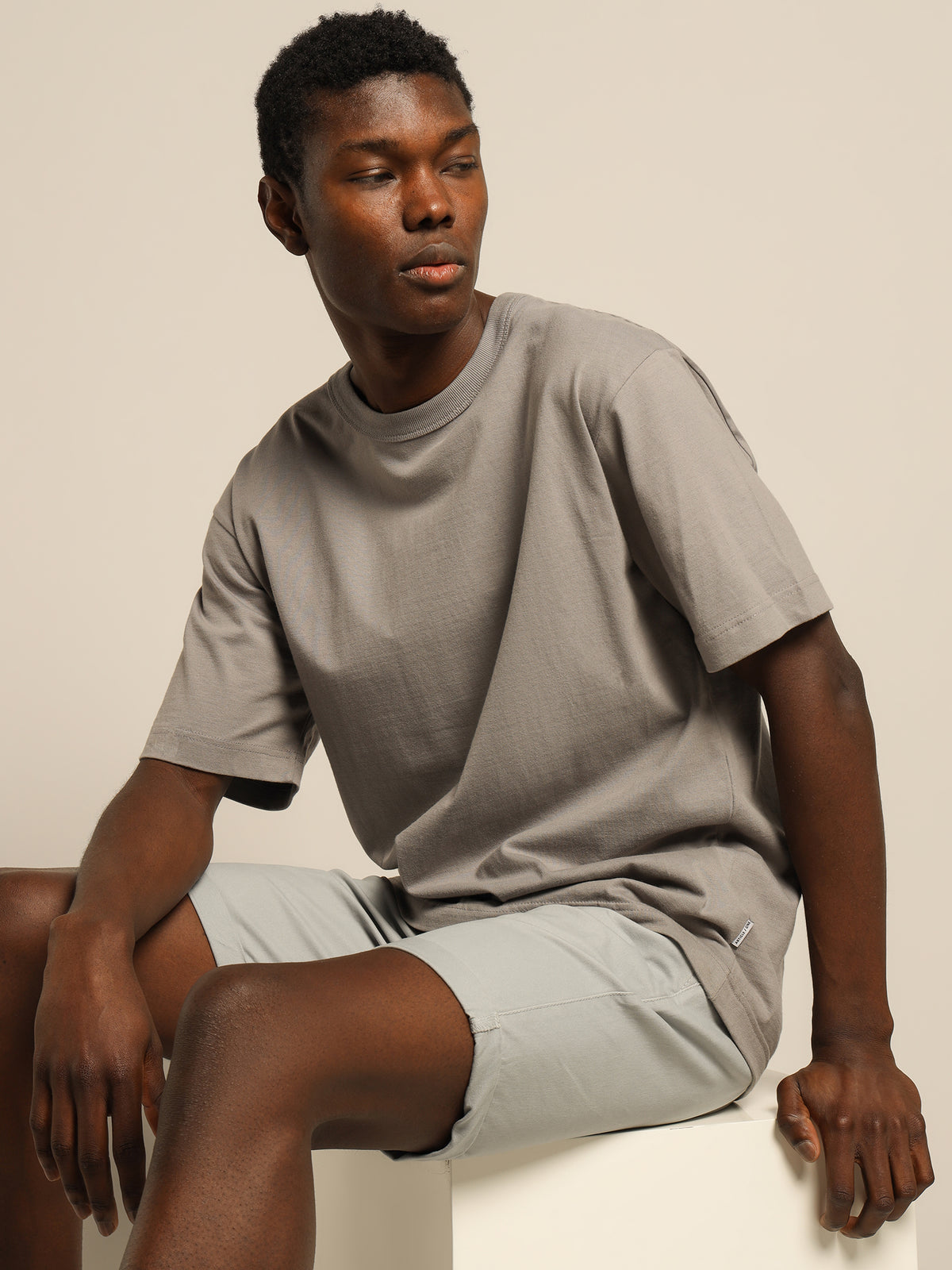 Article One Ellis Chino Short | Fog