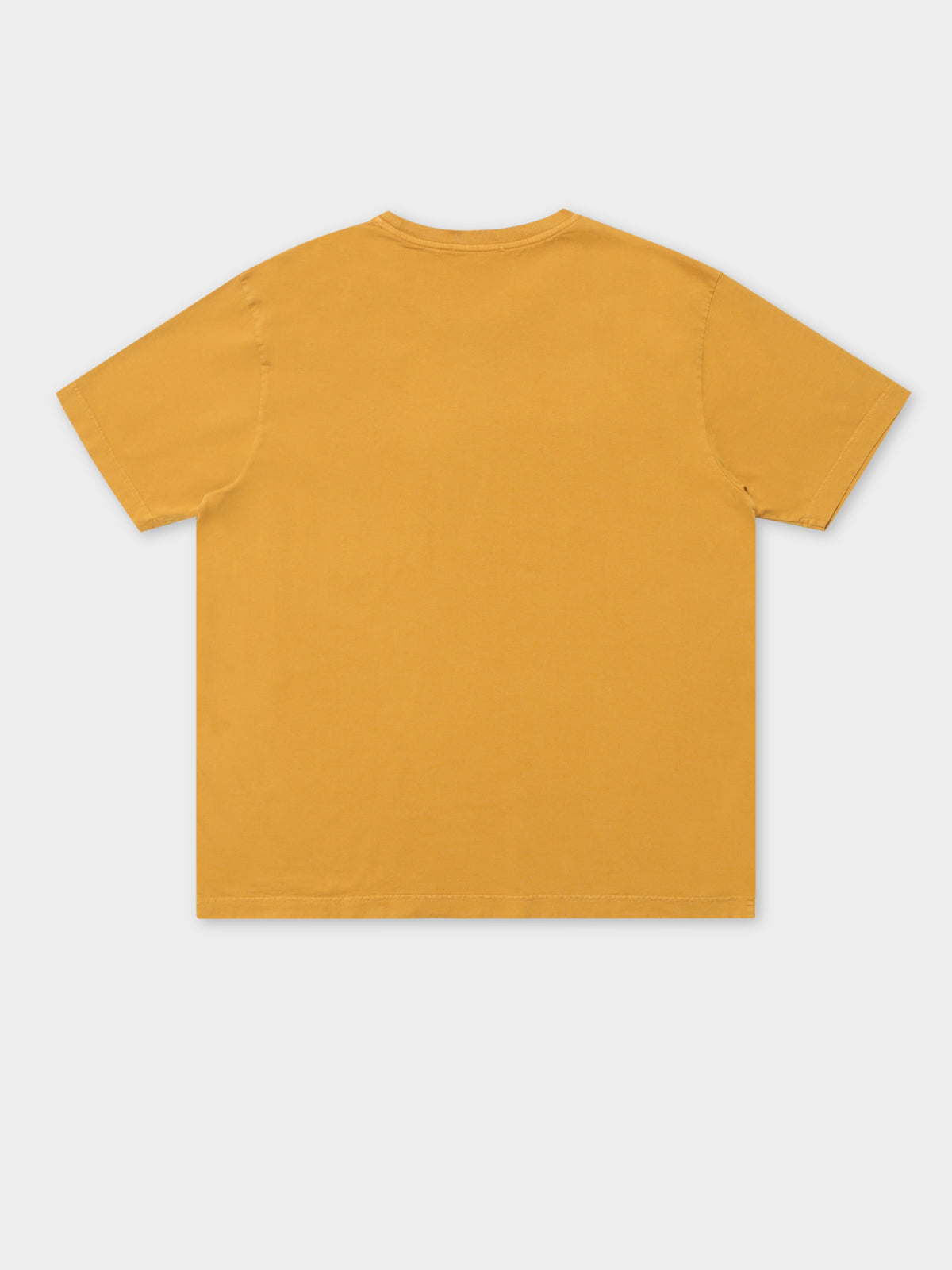 Uno Circle T-Shirt in Amber