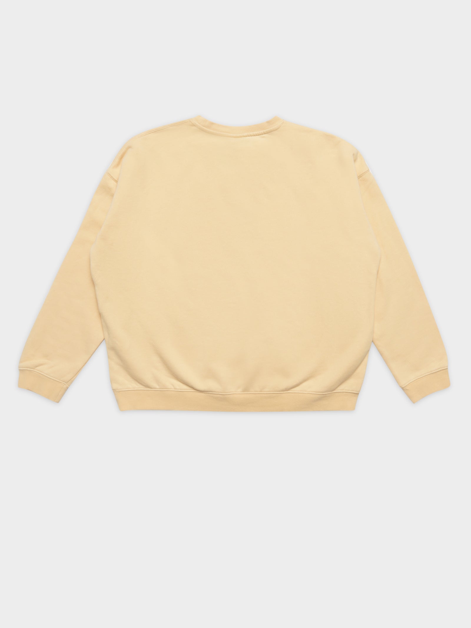 Pigment Recycled Crew