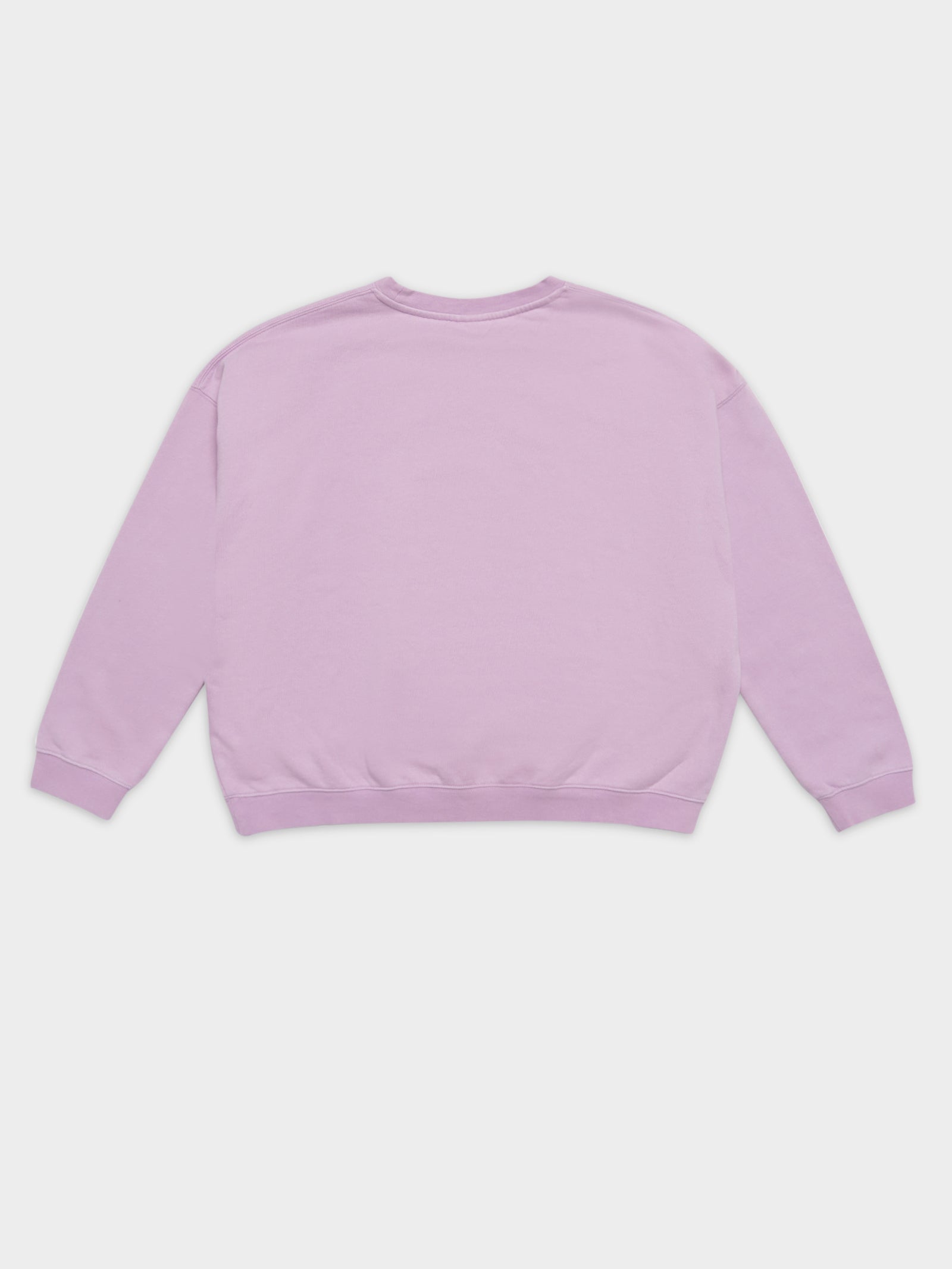 Pigment Recycled Crew