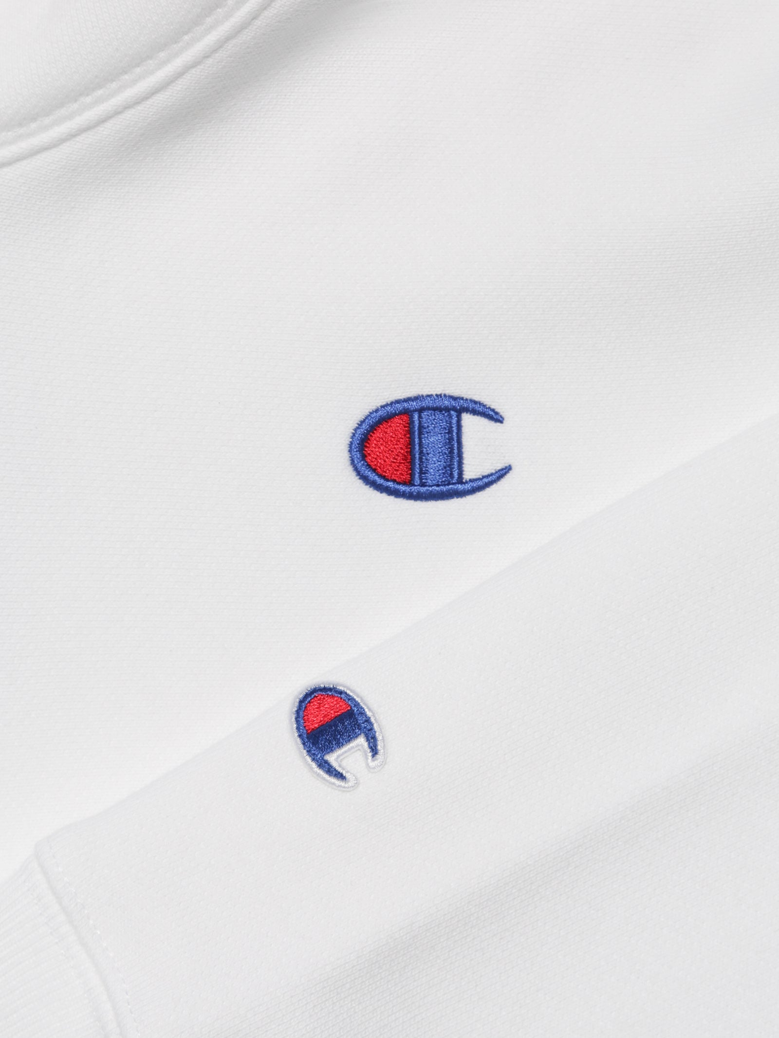 Reverse Weave Hoodie