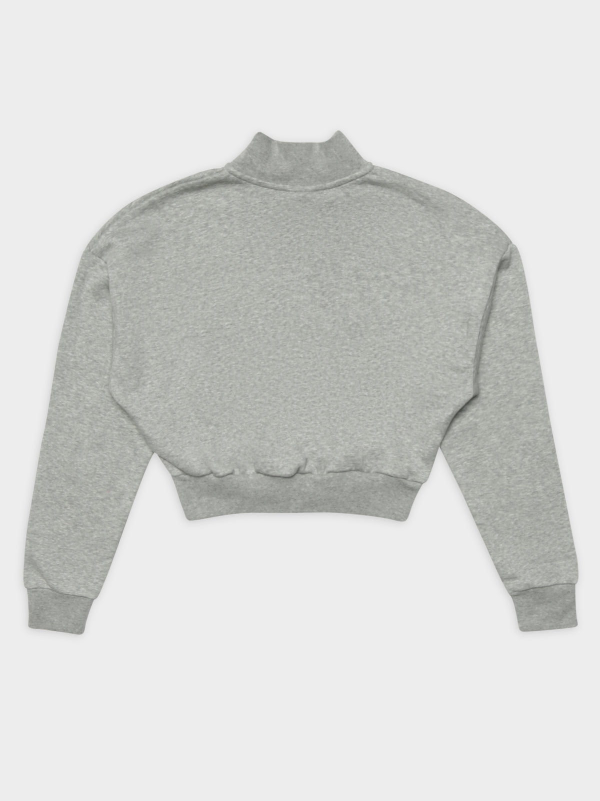 Sportswear Essential Fleece Long Sleeve Crop Top in Grey