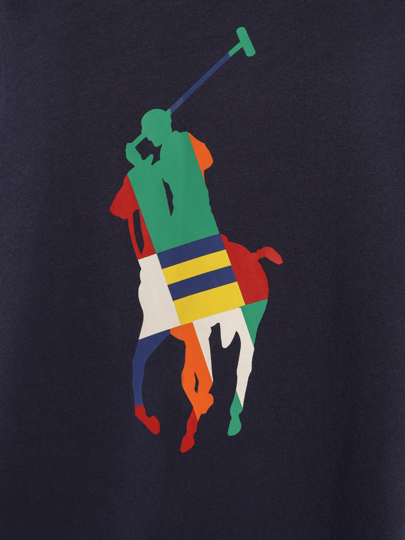 Multicolour Pony Crew Sweat