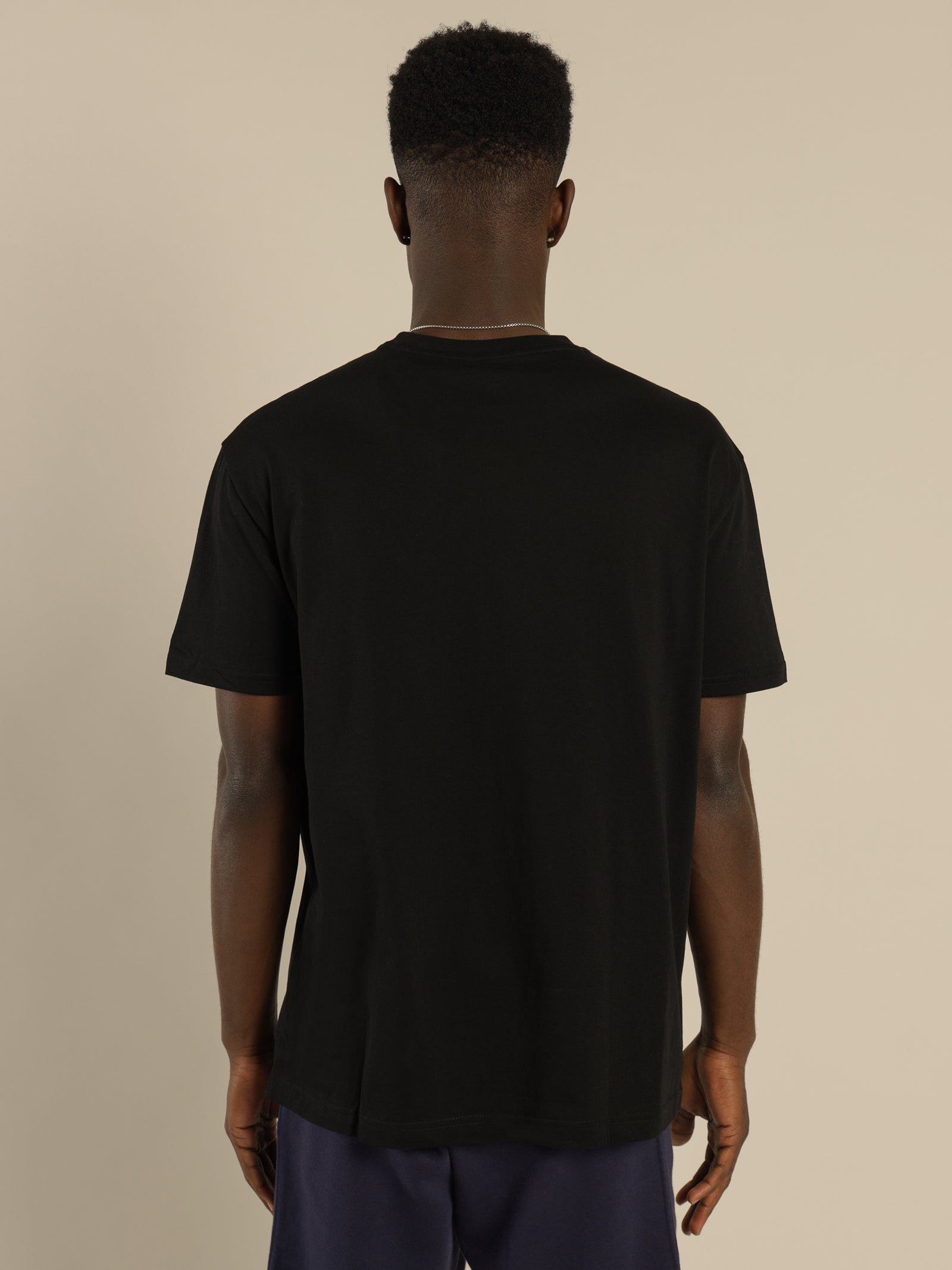 Polo Big Pony Long Sleeve