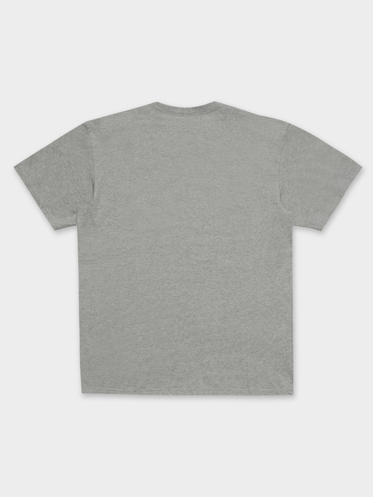 Chase T-Shirt in Grey