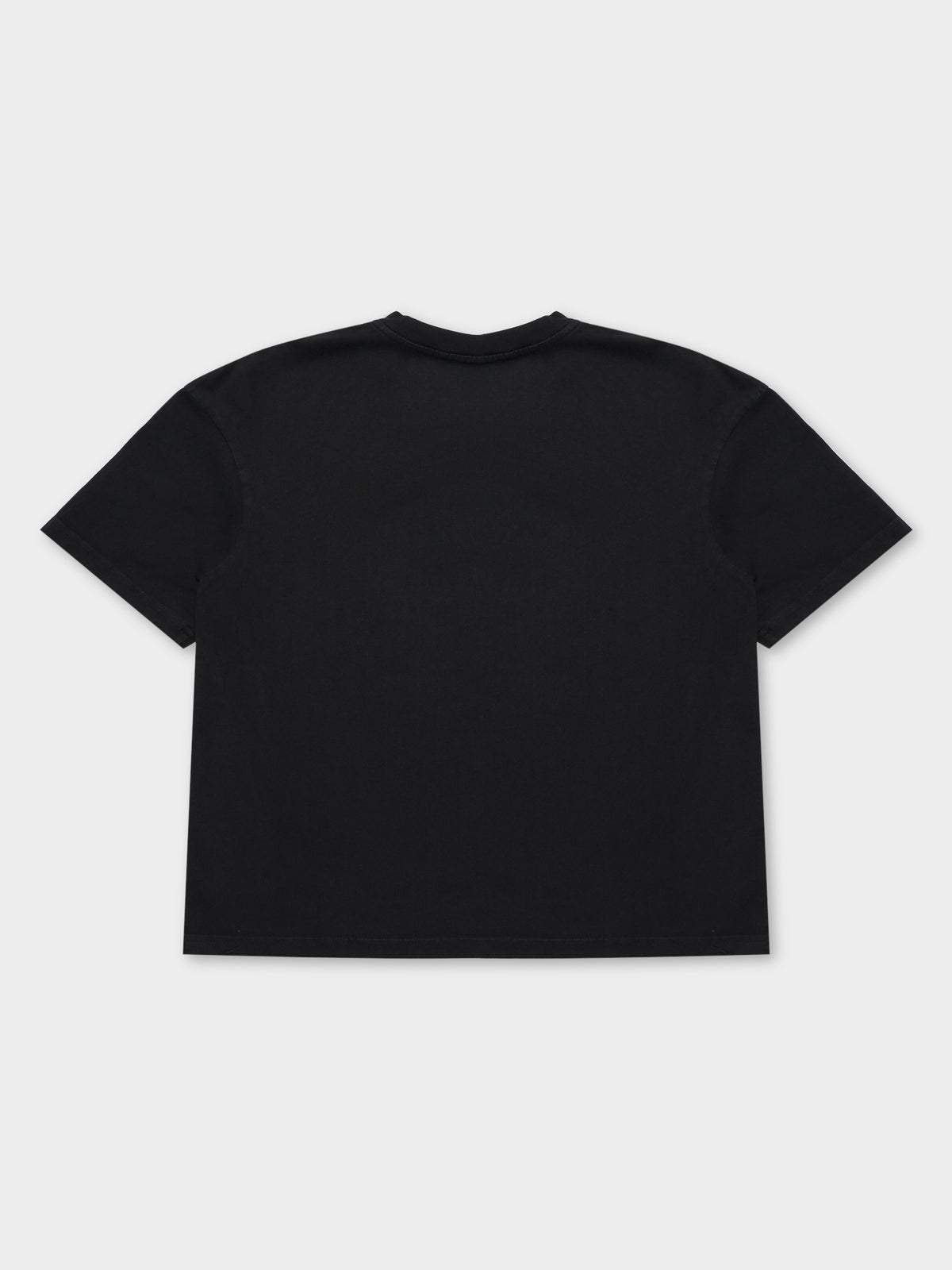 Vintage HWC Ivy Arch T-Shirt in Washed Black