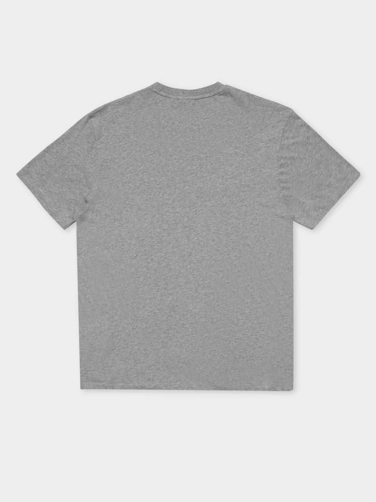 Box Logo T-Shirt in Grey