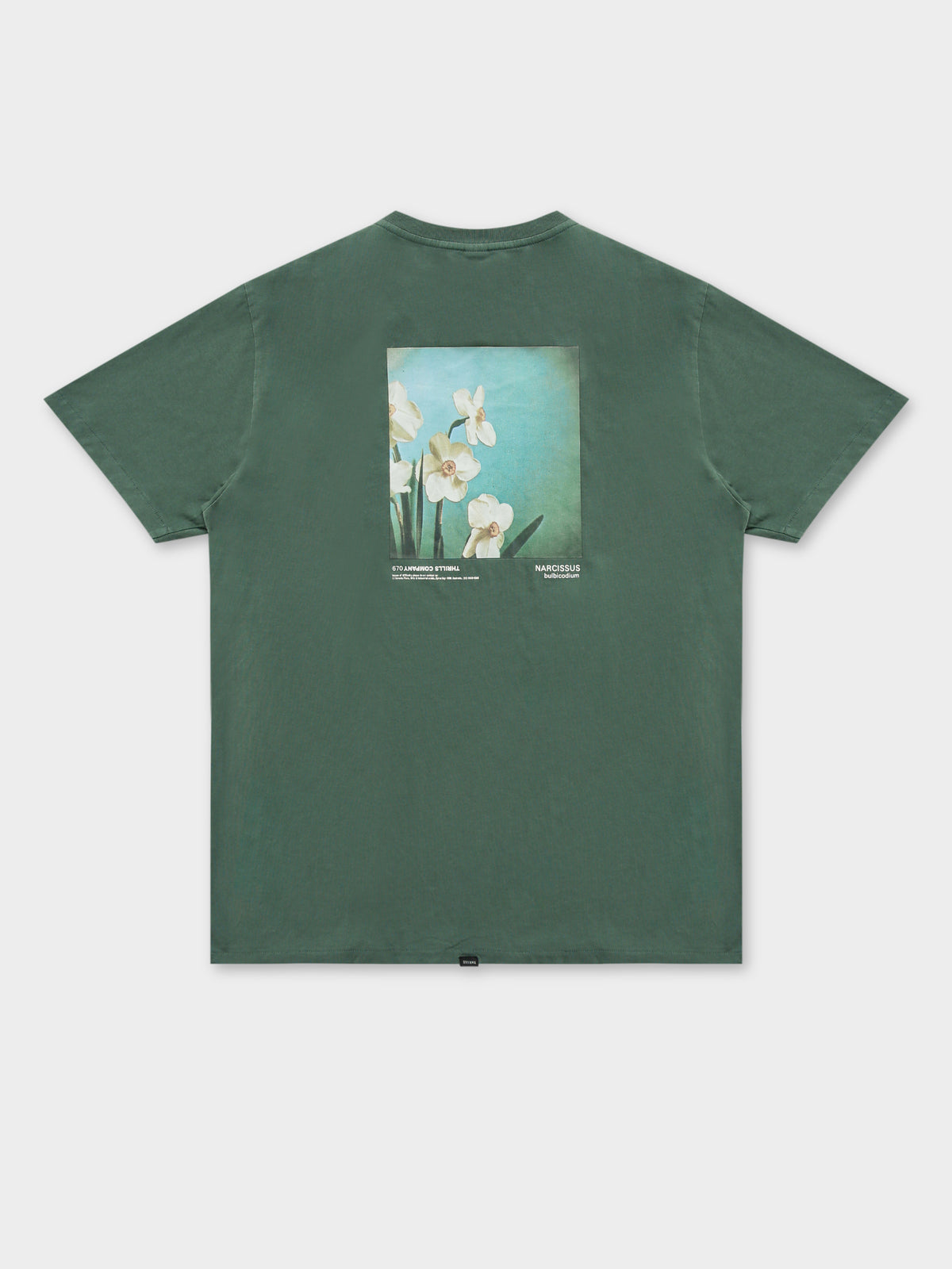 Narcissus Merch Fit T-Shirt in Teal