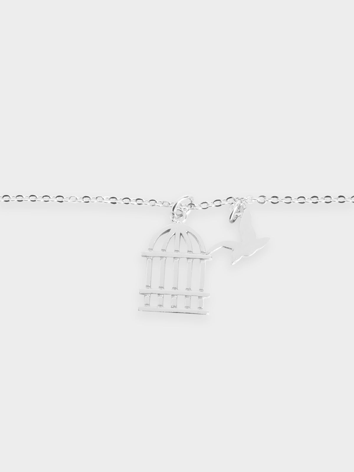 Bird and Cage Necklace in Silve