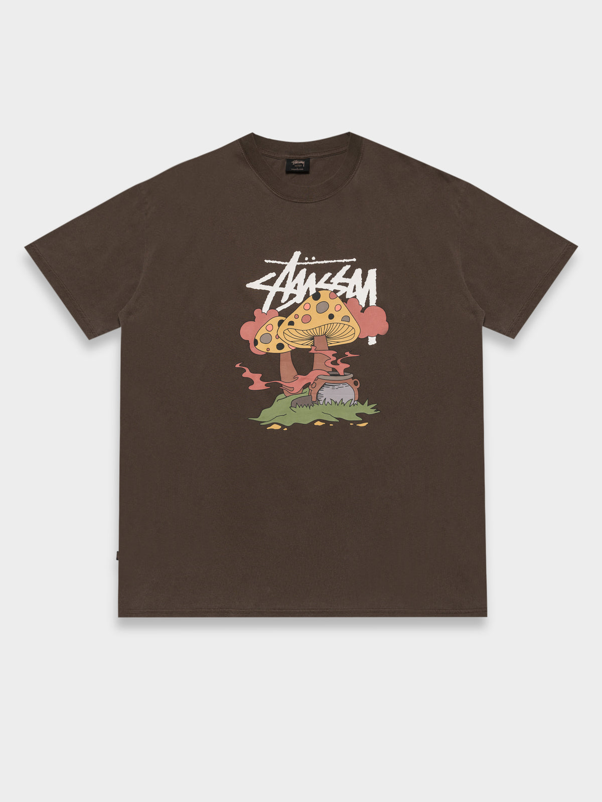 Something Cooking 50/50 T-Shirt in Pigment Brown