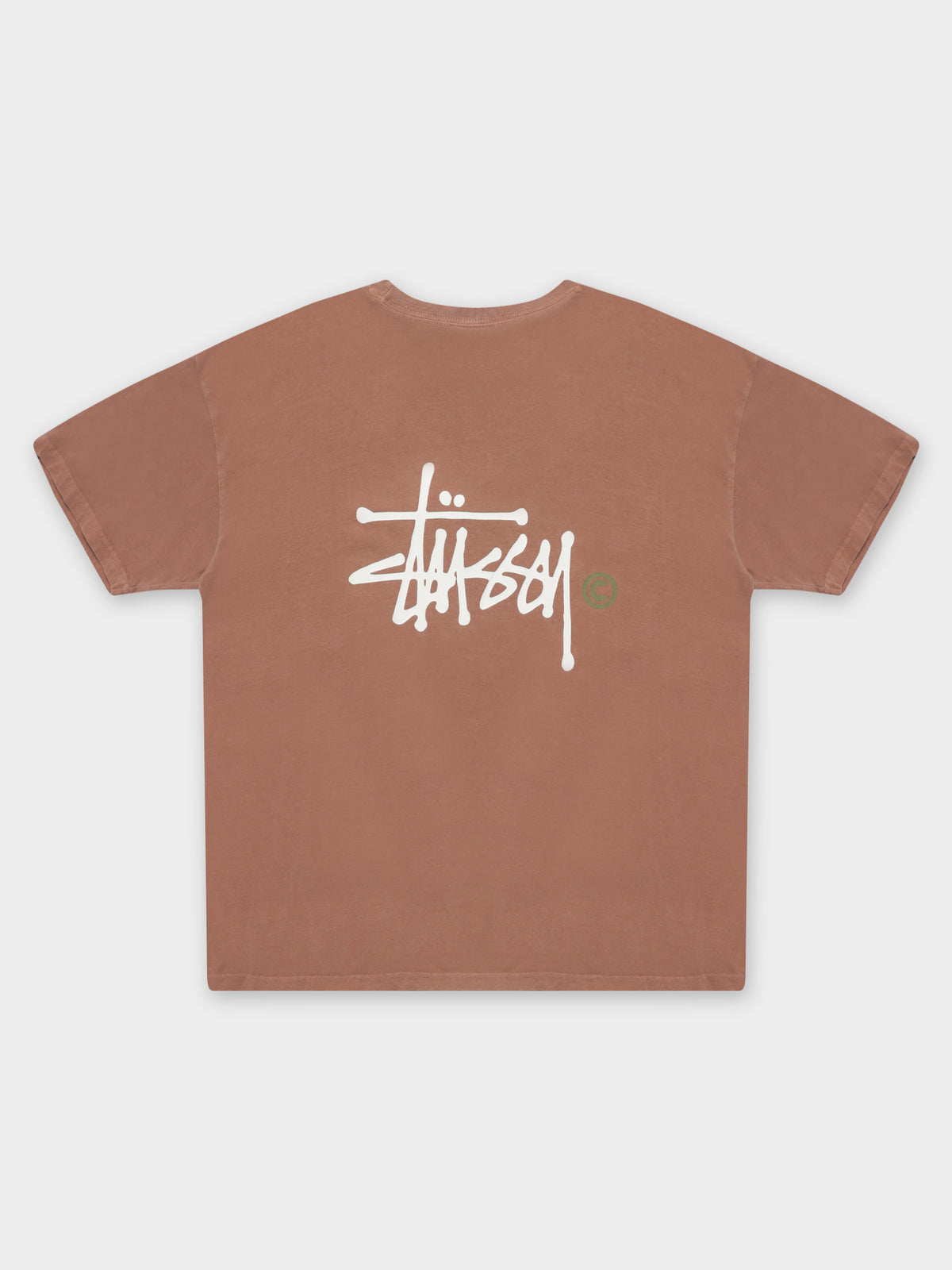 Graffiti Pigment Relaxed T-Shirt in Sienna