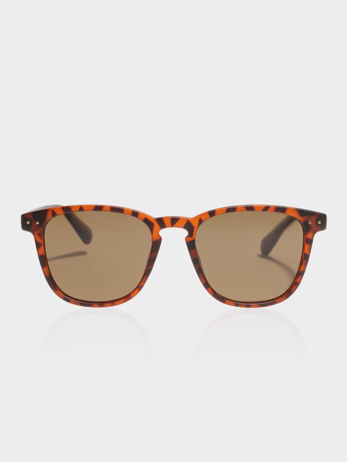 SYD Polarized Sunglasses in Tortoise Shell Brown