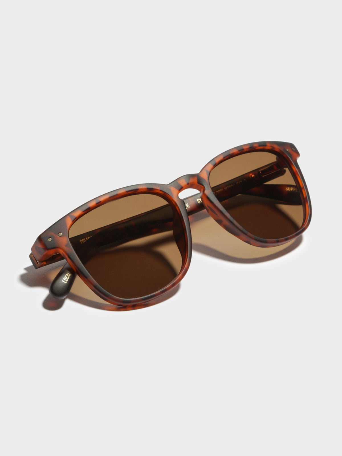 SYD Polarized Sunglasses in Tortoise Shell Brown