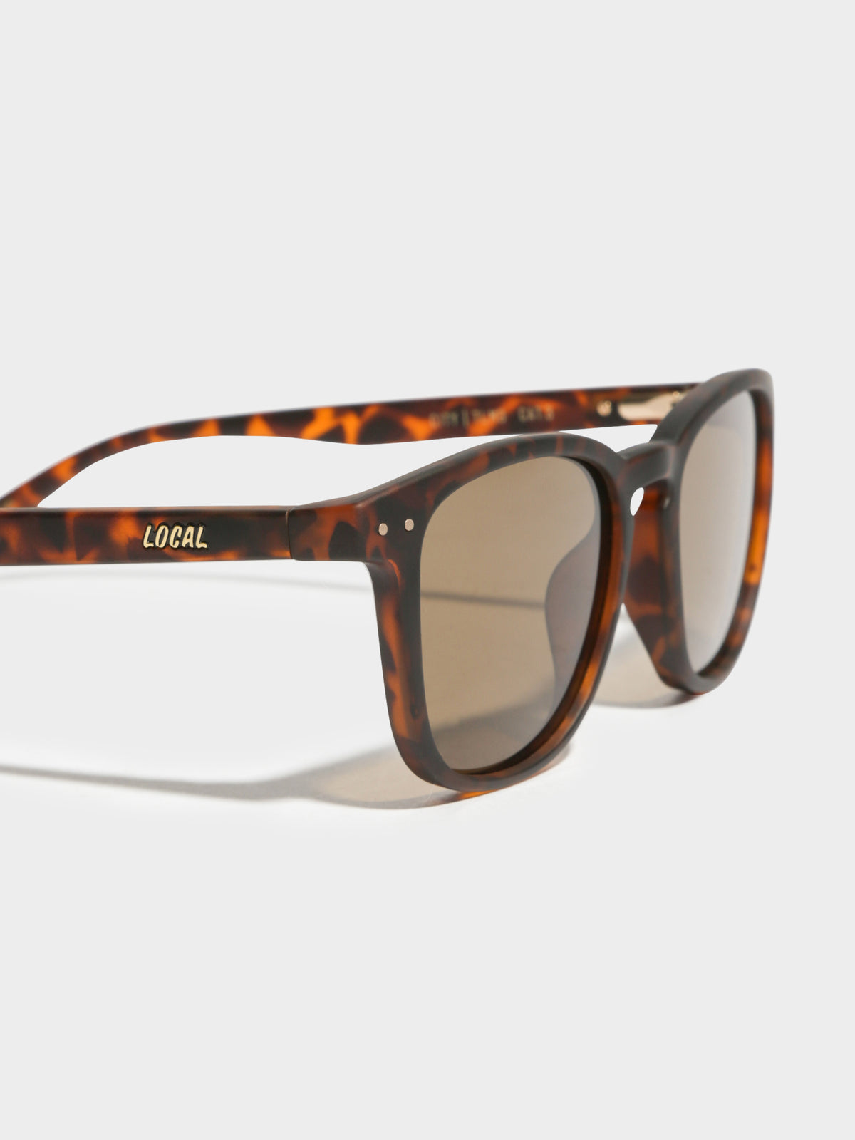 City TLM3 Polarised Sunglasses in Tortoiseshell