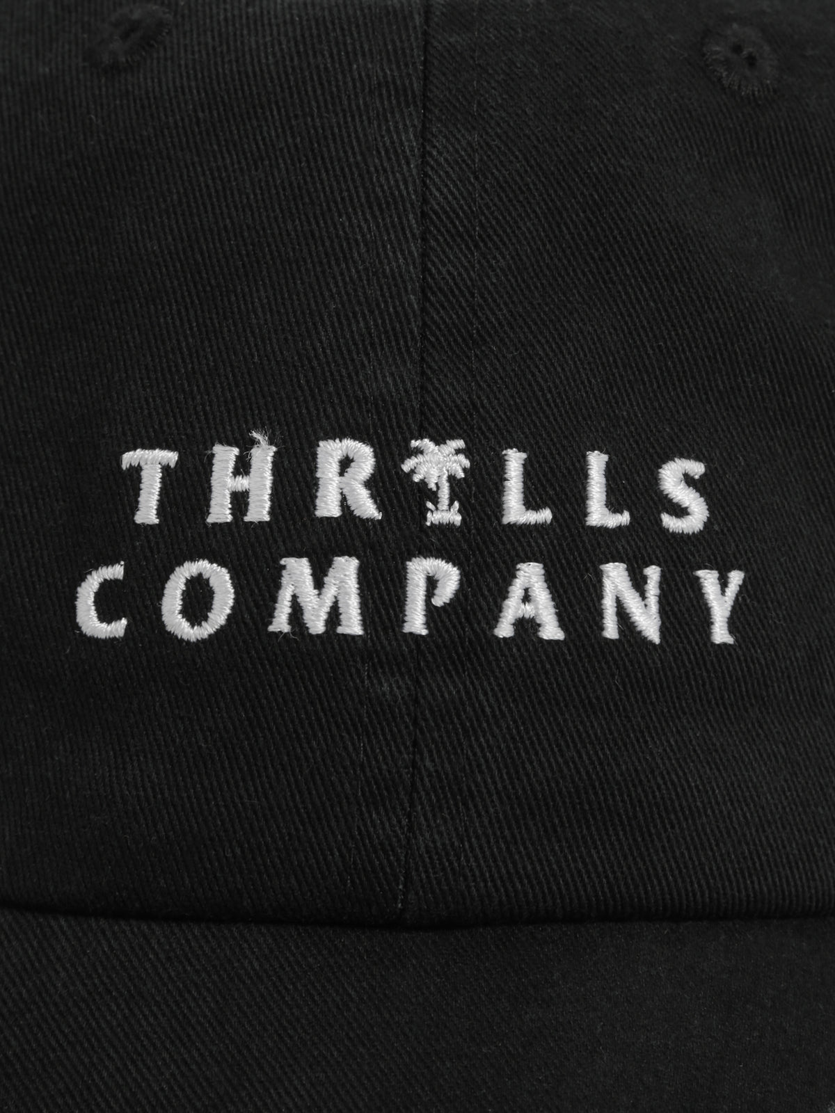 Palmed Thrills Company Cap in Black