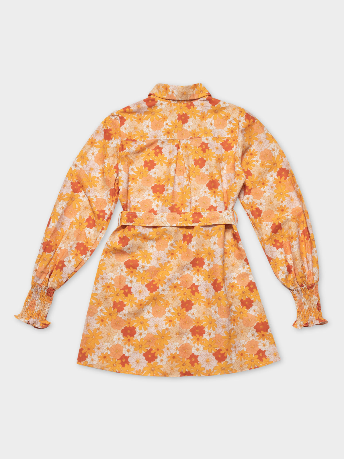 Charlie Holiday Amber Belted Shirt Dress Seventies Charlie Holiday Amber Belted Shirt Dress Seventies