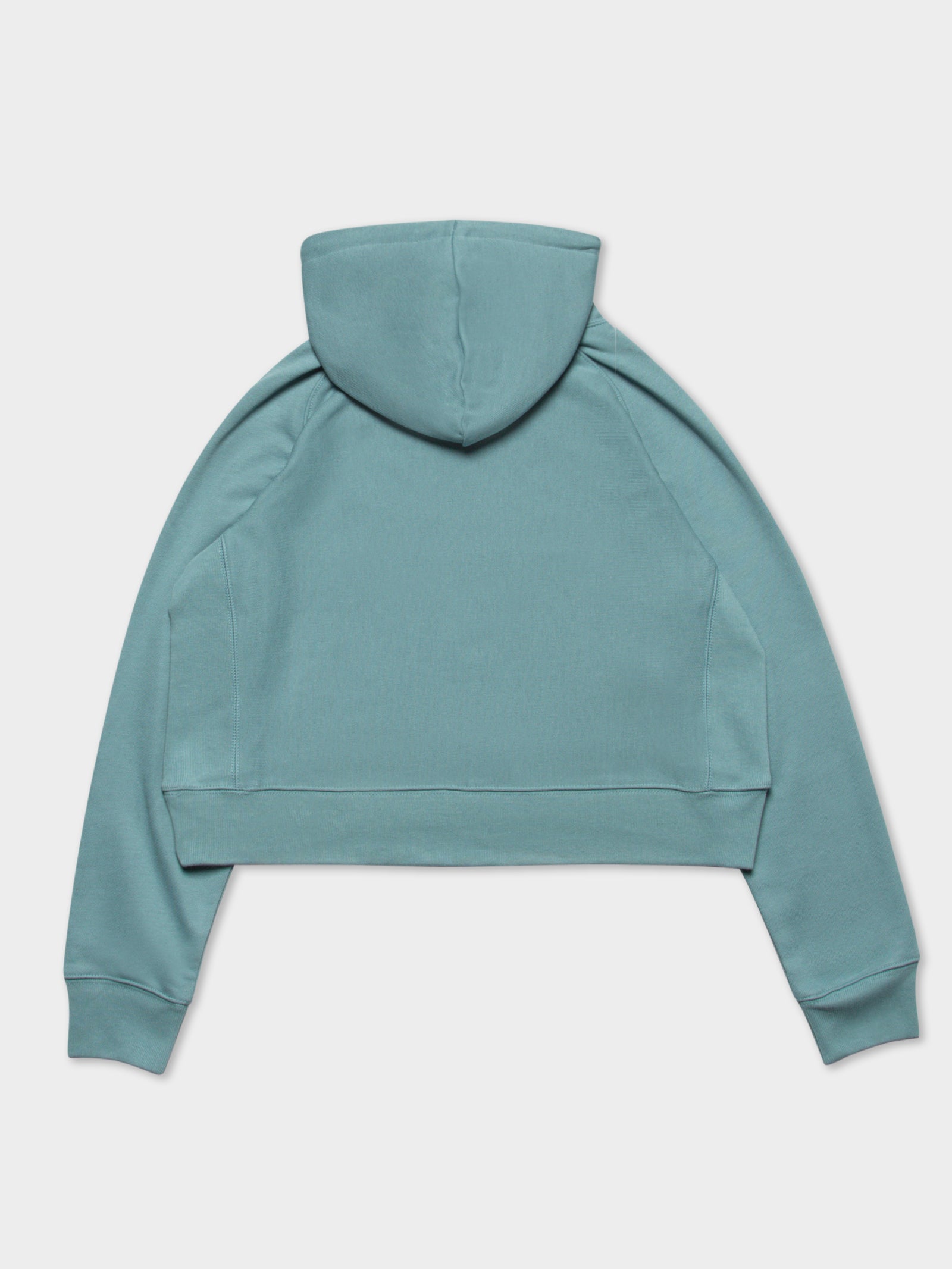 Champion Reverse Weave Overdyed Hoodie Blue | Glue Store