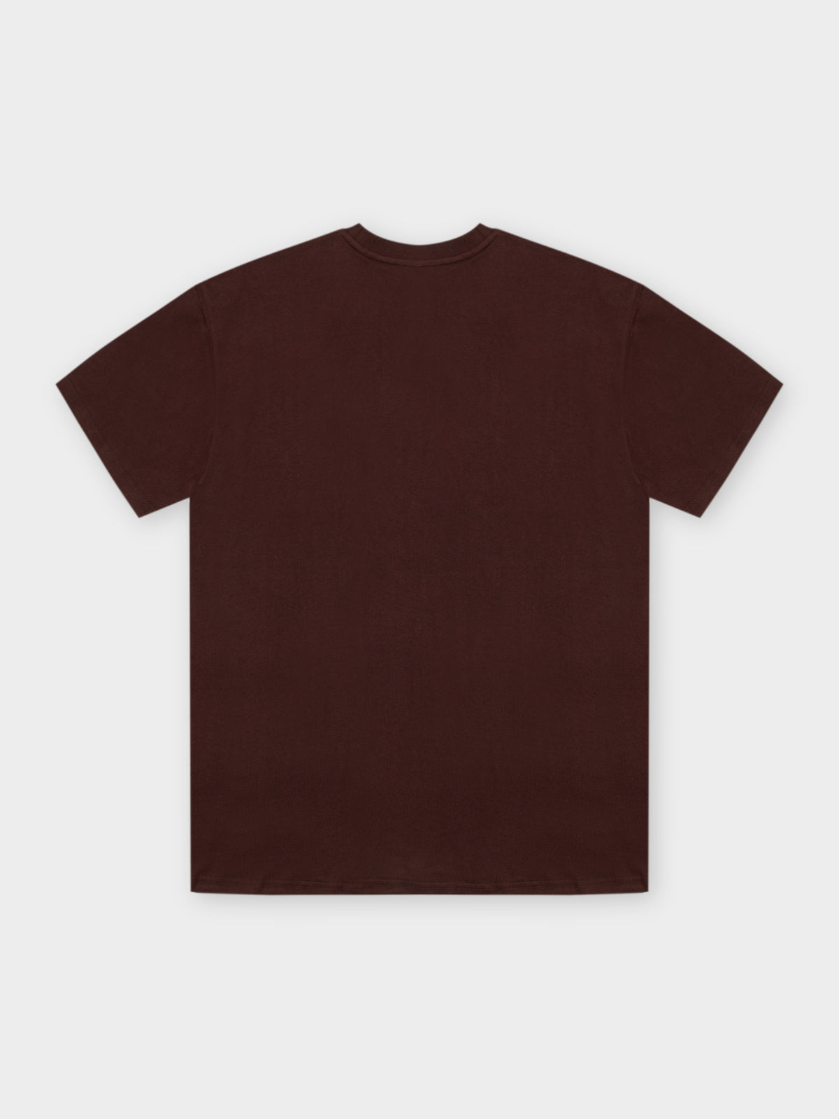 91 Slanted Logo T-Shirt in Postal Brown
