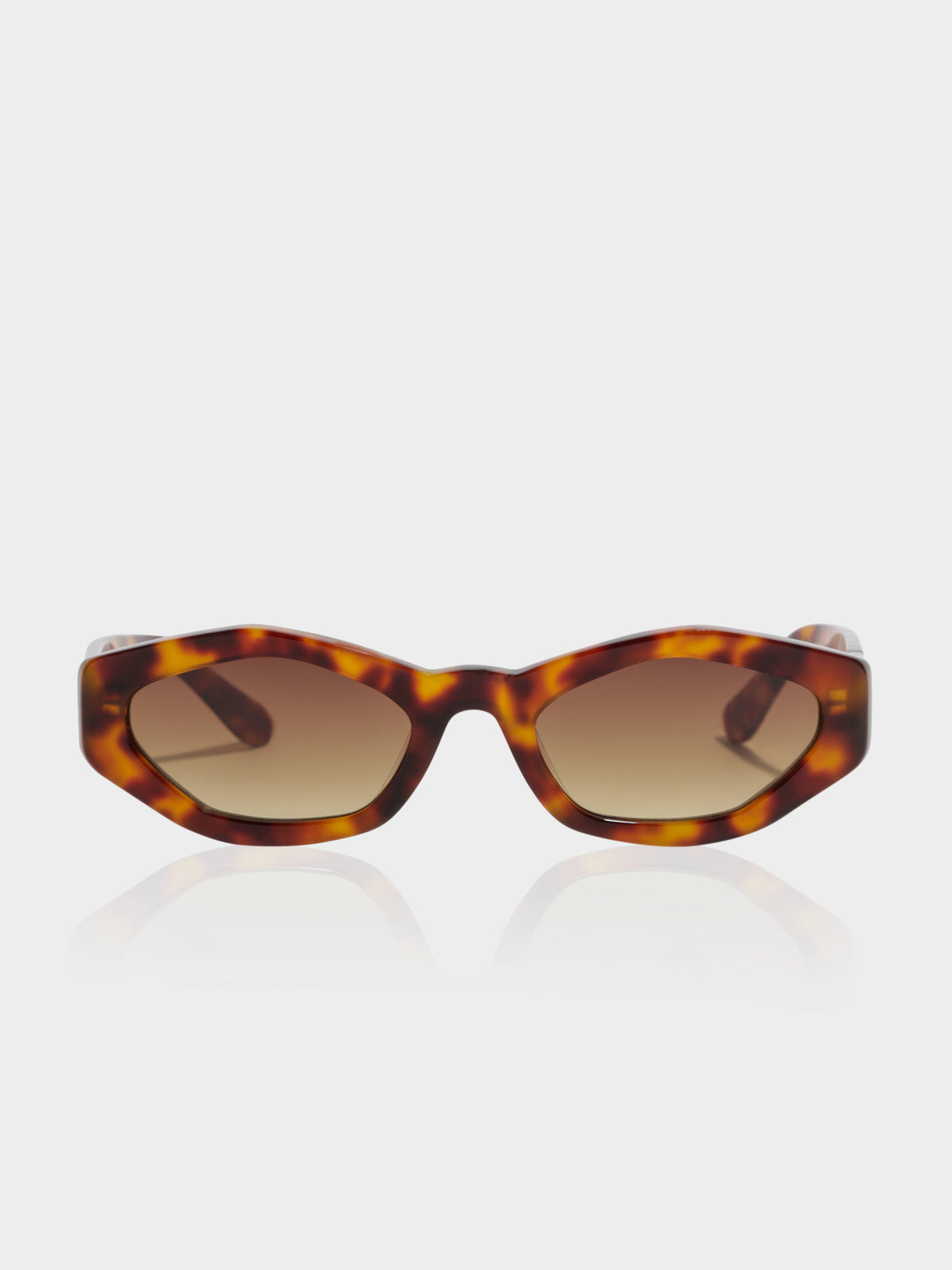 CL7759 Caremilly Tortoise Sunglasses in Brown Tortoiseshell