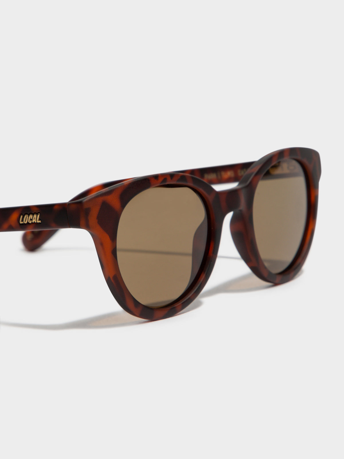 Park TLM3 Polished Sunglasses in Tortoise Shell