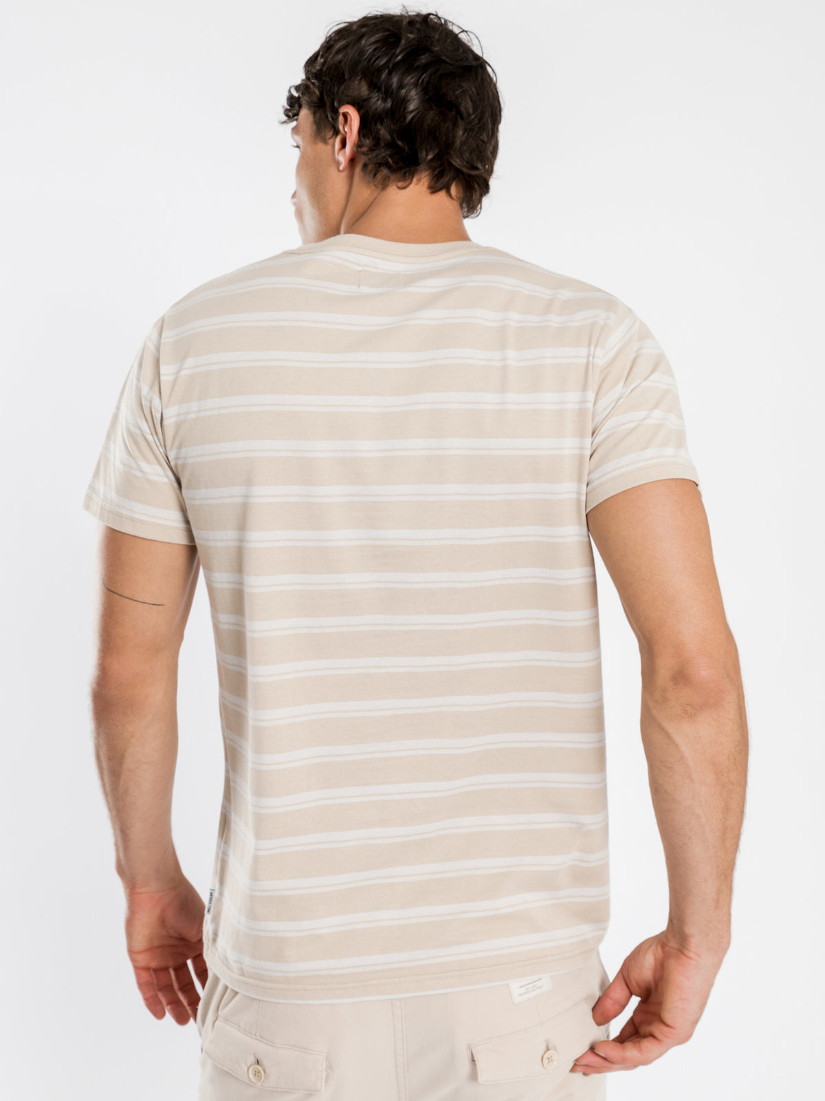 Cayo Stripe T-Shirt in Stone