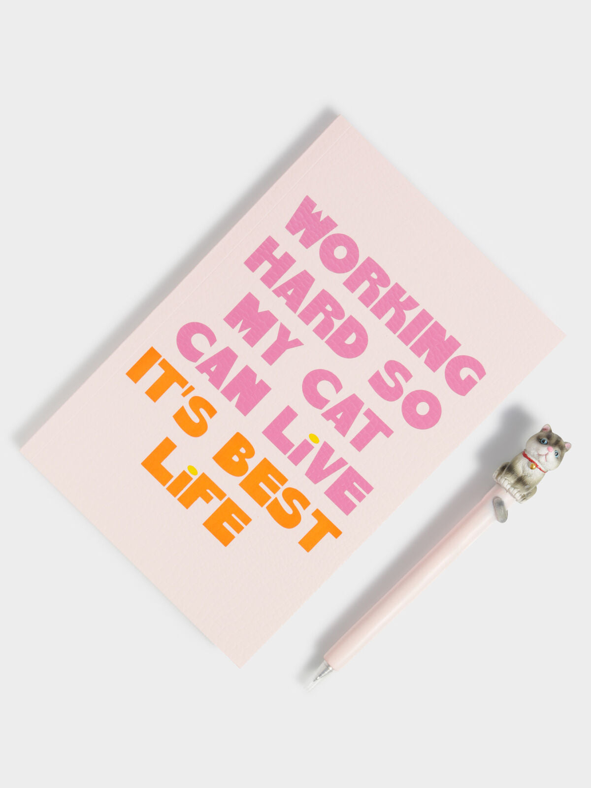Novelty Cat Notebook &amp; Pen Set in Pink